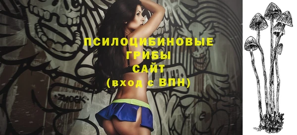 сатива Алексин